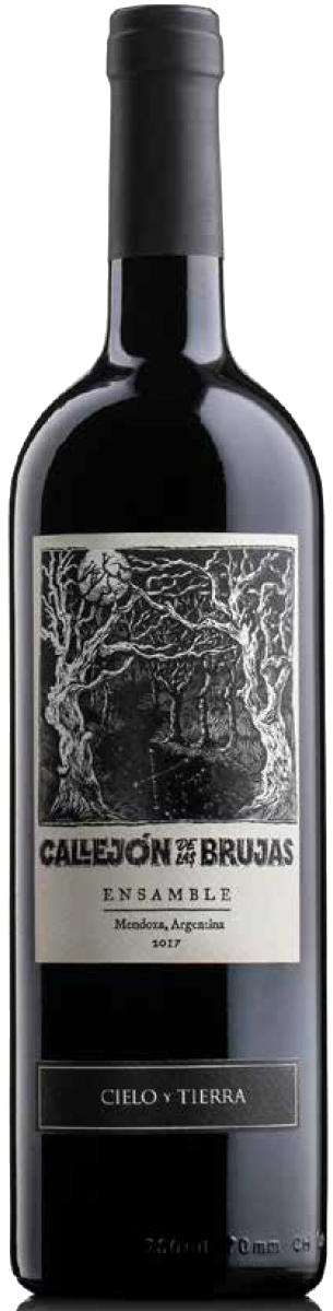 Callejon de brujas (Assamblage, Malbec, Malbec blanco, carmenere, cabernet franc)