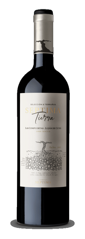 Septima Tierra (los chacayes, agrelo, gualtallary)