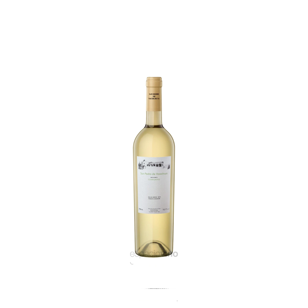 San pedro de Yacochuya torrontes